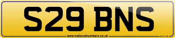 S29 BNS