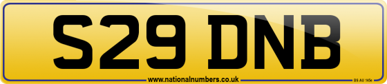S29 DNB