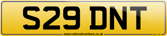 S29 DNT
