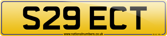 S29 ECT