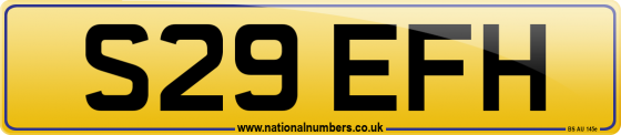 S29 EFH