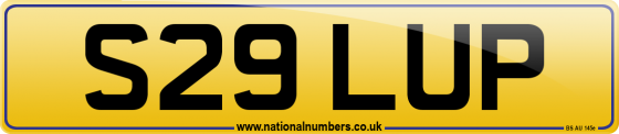 S29 LUP