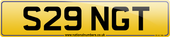 S29 NGT