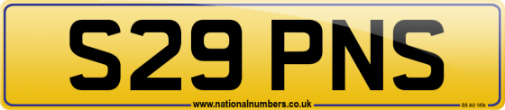 S29 PNS