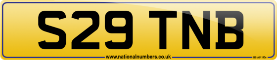 S29 TNB