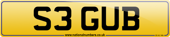 S3 GUB