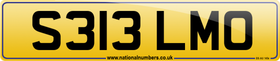 S313 LMO