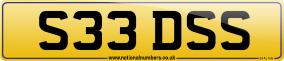 S33 DSS