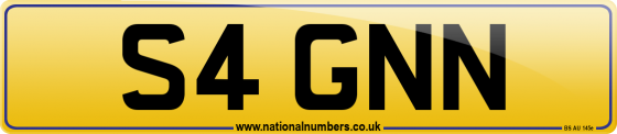 S4 GNN