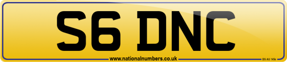 S6 DNC