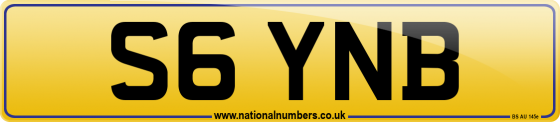 S6 YNB