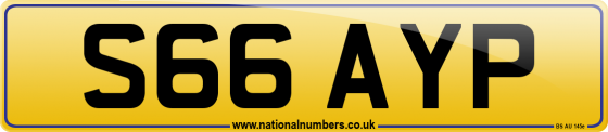 S66 AYP