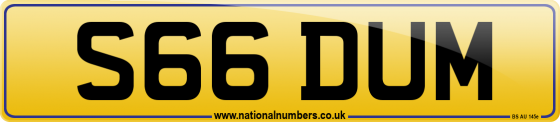 S66 DUM