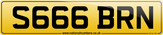 S666 BRN