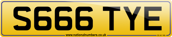 S666 TYE