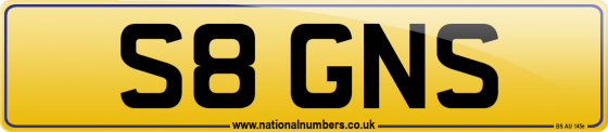 S8 GNS