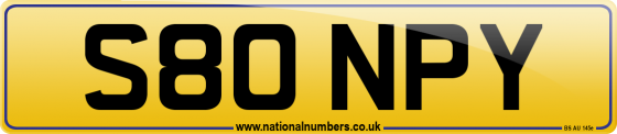 S80 NPY