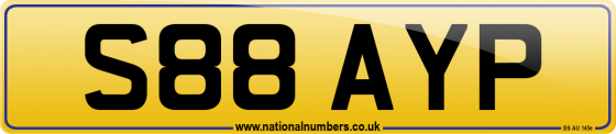 S88 AYP