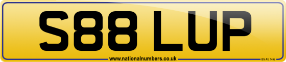 S88 LUP