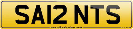 SA12 NTS