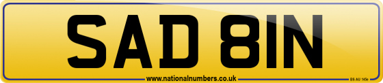 SAD 81N