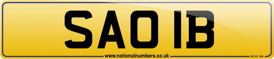 SAO 1B