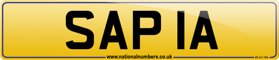 SAP 1A