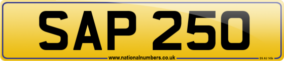 SAP 250