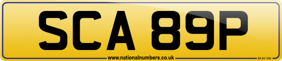 SCA 89P