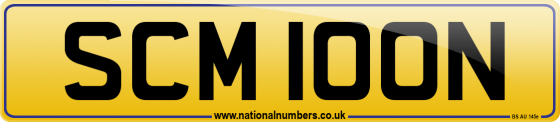 SCM 100N