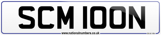 SCM 100N