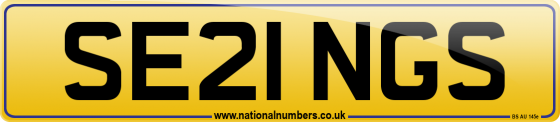 SE21 NGS