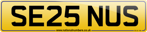 SE25 NUS