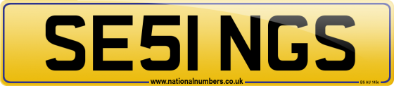 SE51 NGS