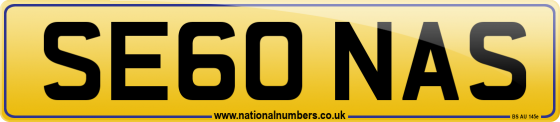 SE60 NAS