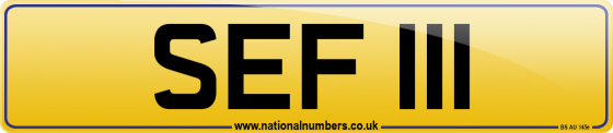 SEF 111