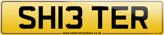 SH13 TER