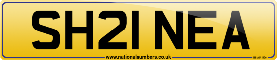 SH21 NEA