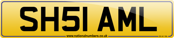 SH51 AML