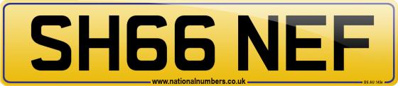 SH66 NEF