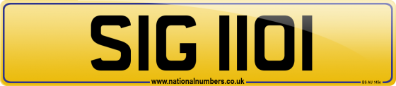 SIG 1101