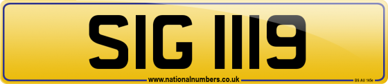 SIG 1119