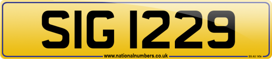 SIG 1229