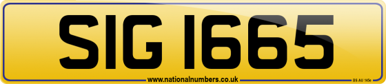 SIG 1665