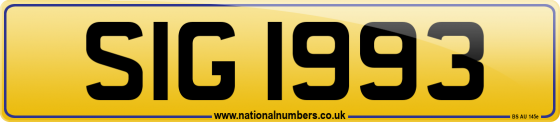 SIG 1993