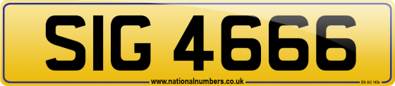 SIG 4666