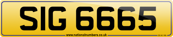 SIG 6665