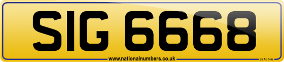 SIG 6668