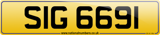 SIG 6691
