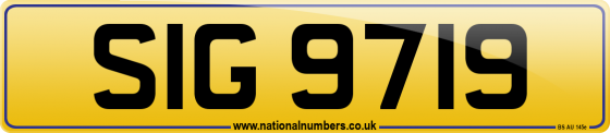 SIG 9719